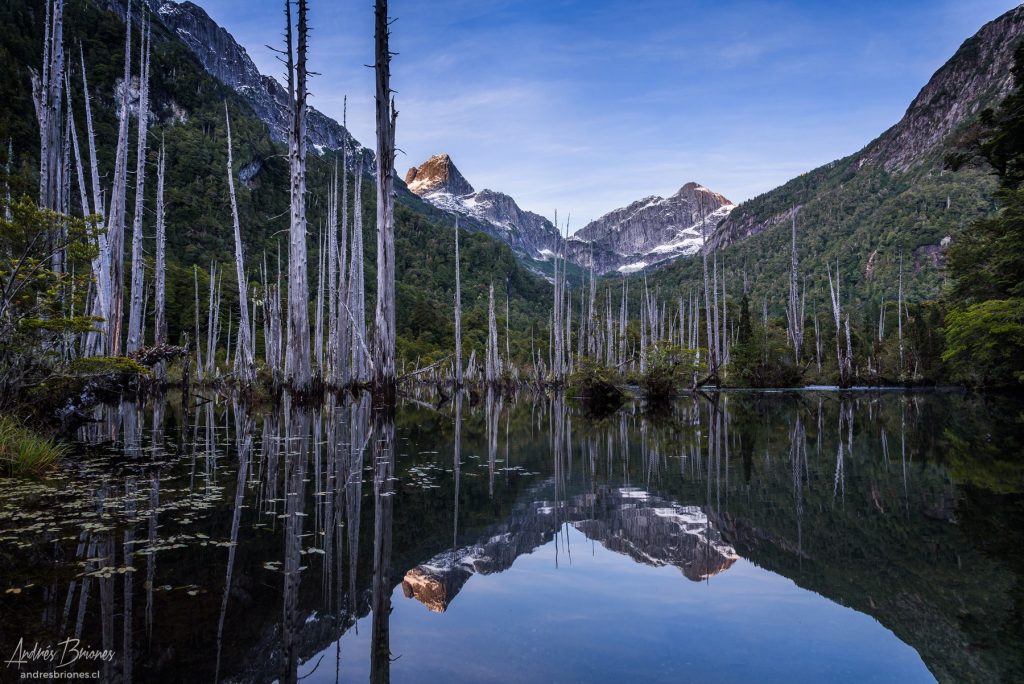 Laguna Alerces, parque Tagua Tagua