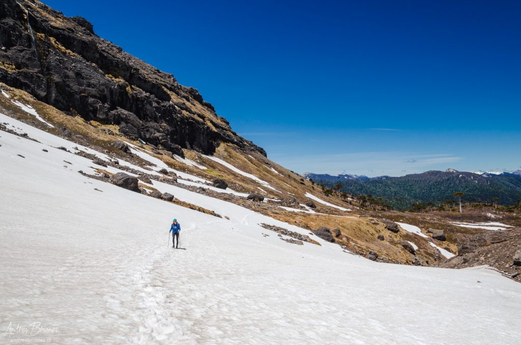 Sendero con nieve en Conguillio, Araucanía, Chile