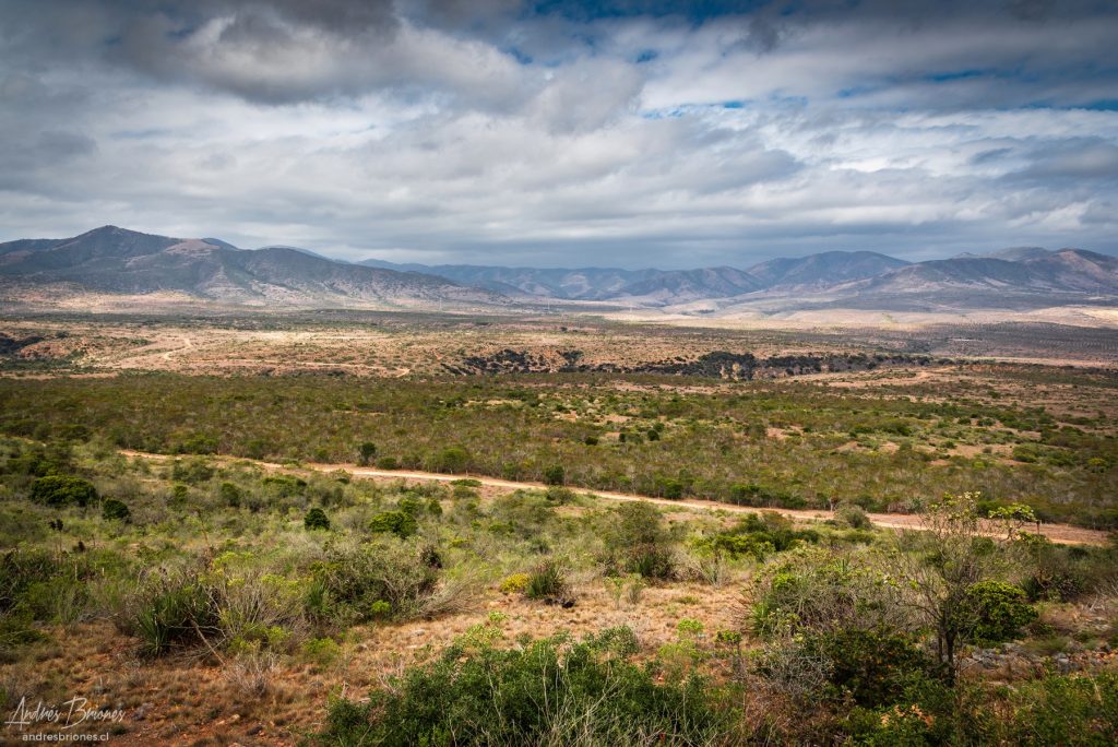 Rocas del Mar, Los Molles