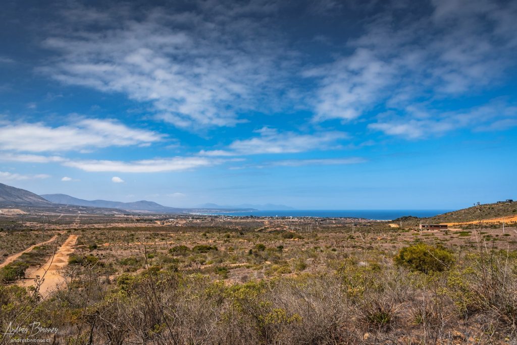 Rocas del Mar, Los Molles