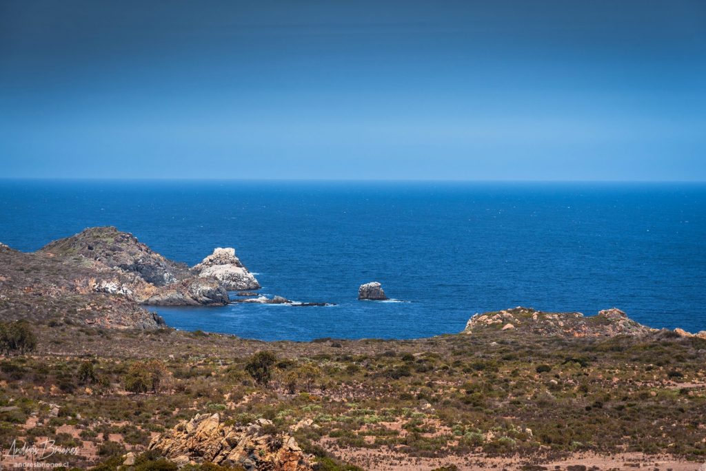 Rocas del Mar, Los Molles