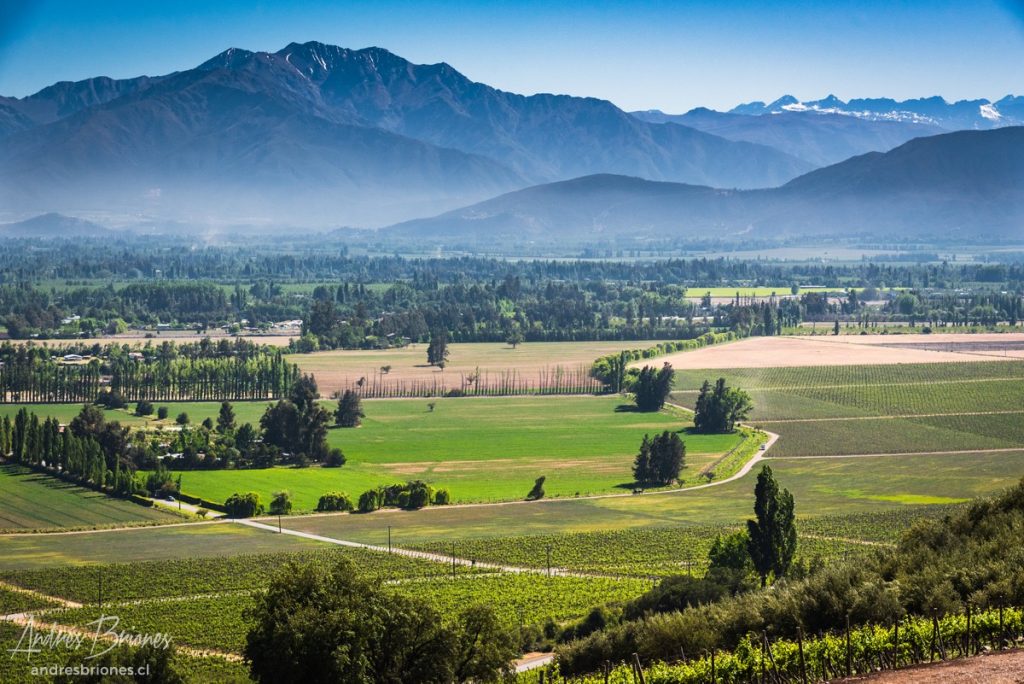 Viña Haras de Pirque