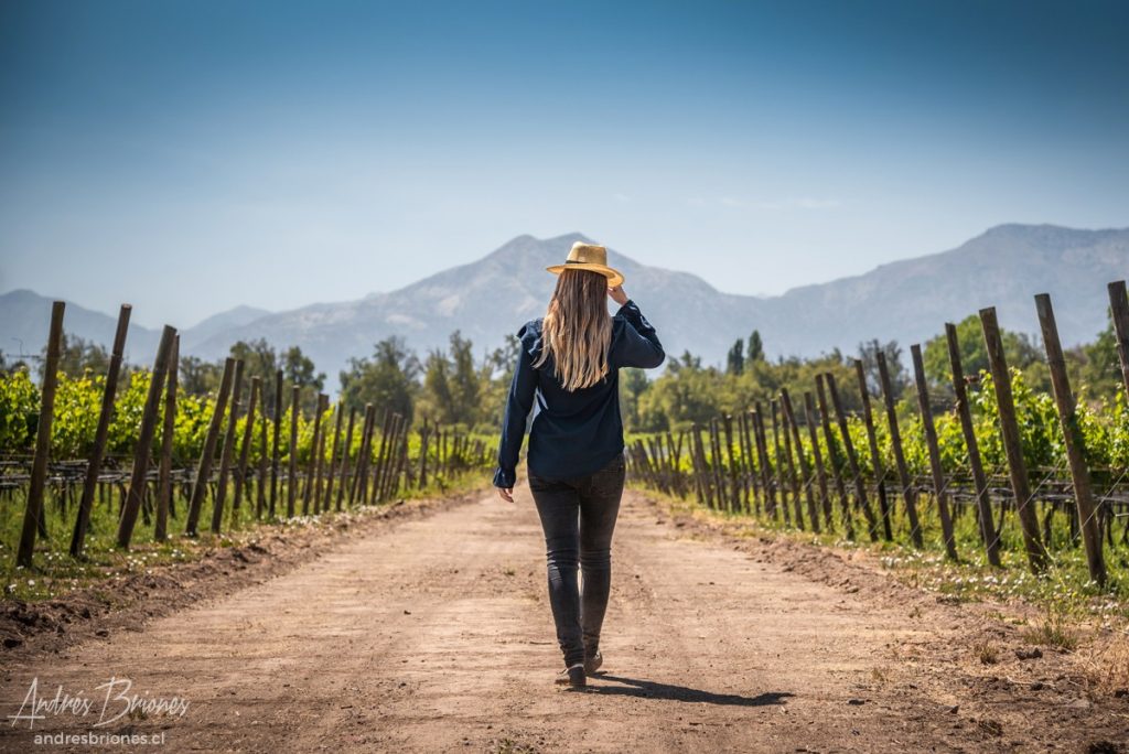 Viña Haras de Pirque