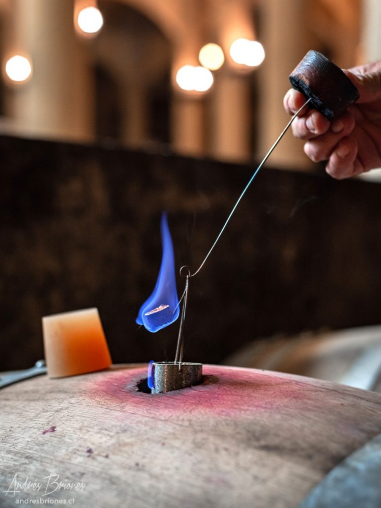 Viña Haras de Pirque