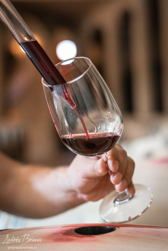 Viña Haras de Pirque