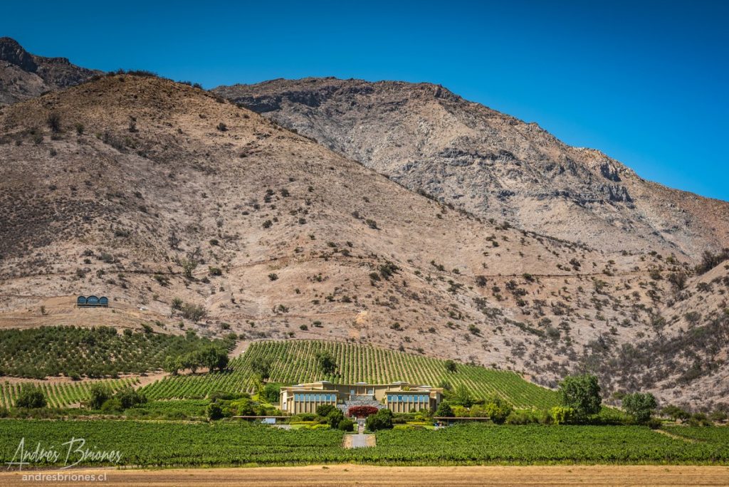 Viña Haras de Pirque