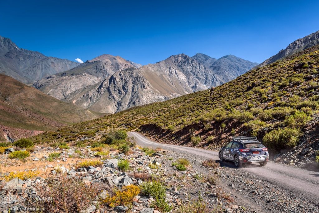 Andrés Briones - Eventos Suda Marcas