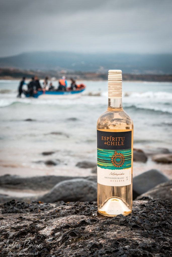 Andrés Briones - Eventos Suda Marcas